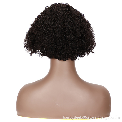 Rebecca 100% Human Hair Wigs Brazilian Afro Kinky Curly Wigs For Black Women Cheap Wholesale Bob Short Pixie Cut Human Hair Wigs